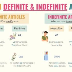 Worksheet worksheets definite indefinite ingles exercise esl examplanning anglais exercice learned 6ème leçon inglés abrir