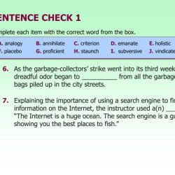 Chapter 5 sentence check 2