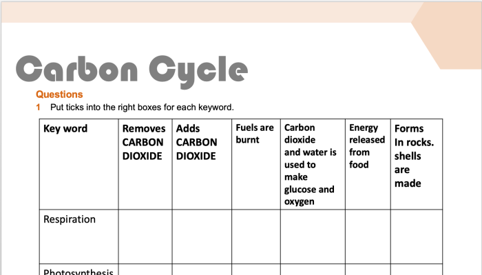 Analyzing graphics the carbon cycle answer key