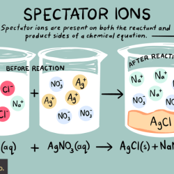 Identify the spectator ions in the following molecular equation