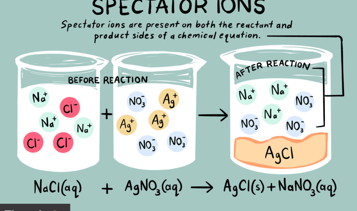 Identify the spectator ions in the following molecular equation