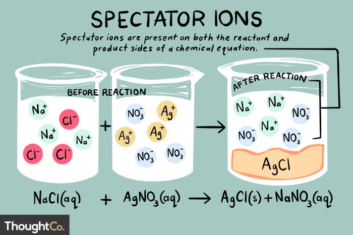 Identify the spectator ions in the following molecular equation