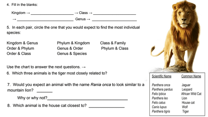 Practice joint classification worksheet answers