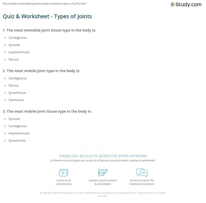 Practice joint classification worksheet answers